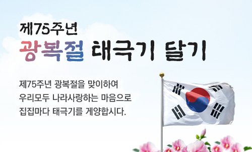 이미지 이미지